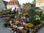 Sondershäuser Blumen-, Pflanzen- und Staudenmarkt vorgesehen